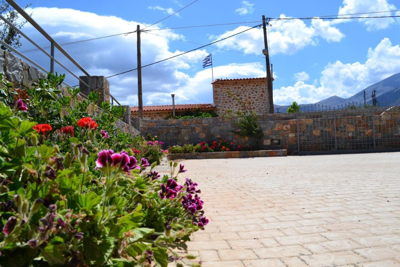 Asteri Apartments Μάλια Εξωτερικό φωτογραφία