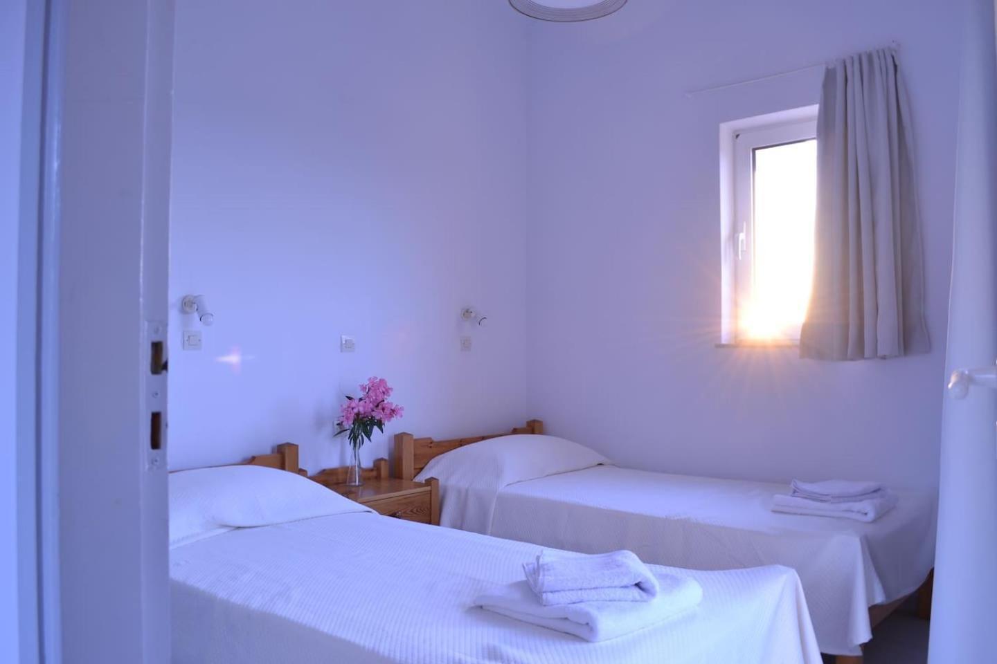 Asteri Apartments Μάλια Εξωτερικό φωτογραφία